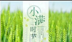 小滿丨晴日暖風生麥氣，綠蔭幽草勝花時。