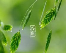 谷雨｜暮春，夏將至。