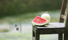 <b>小暑 | 夏日正好，不負(fù)驕陽(yáng)！</b>